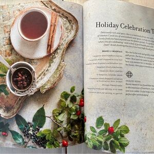 NWOT Infuse: Herbal Teas to Cleanse, Nourish & Heal Cookbook by Paula Grainger.